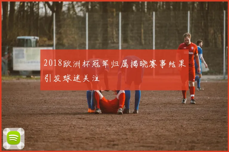 2018欧洲杯冠军归属揭晓赛事结果引发球迷关注