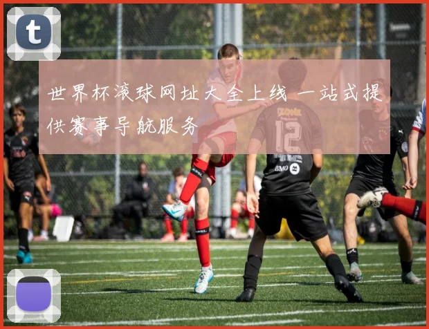 世界杯滚球网址大全上线 一站式提供赛事导航服务