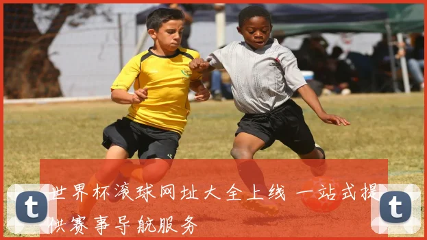 世界杯滚球网址大全上线 一站式提供赛事导航服务