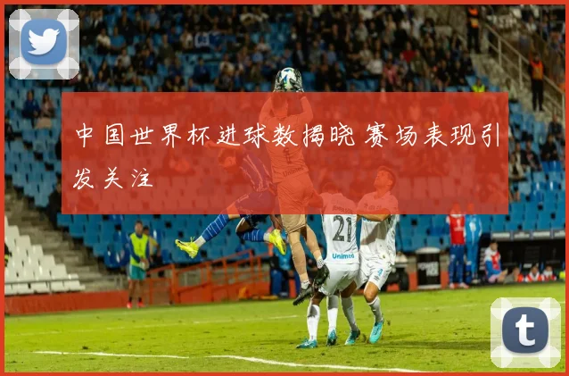 中国世界杯进球数揭晓 赛场表现引发关注