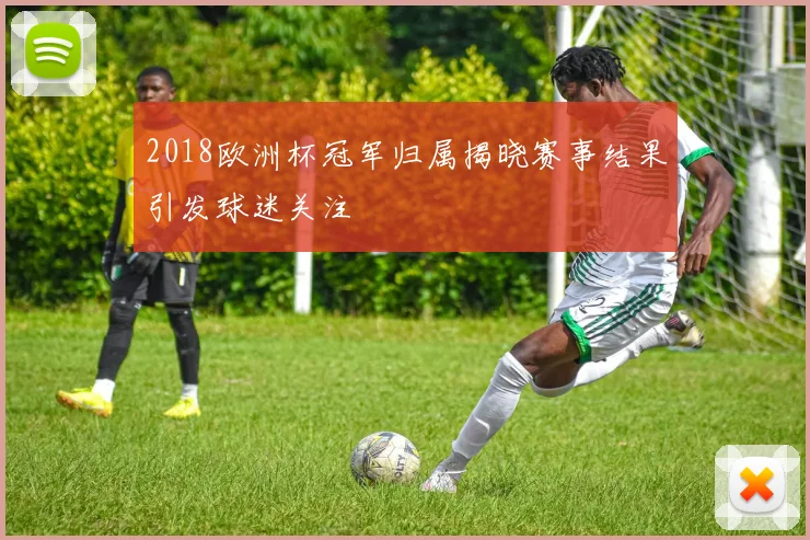 2018欧洲杯冠军归属揭晓赛事结果引发球迷关注